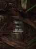 Aistis Mickevičius FUMparFUM. ARCHIVE OF ALCHEMIST PINEAPPLE