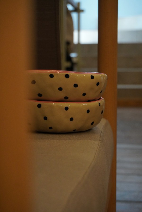 Terra Touch. back dot dubenėlis