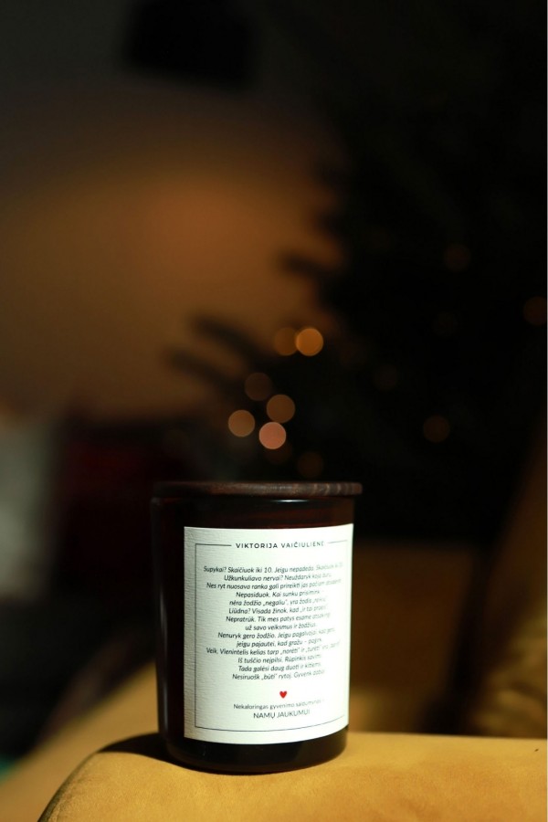 V&V. NAMŲ KVAPO ŽVAKĖ Kasdienybės taisyklės