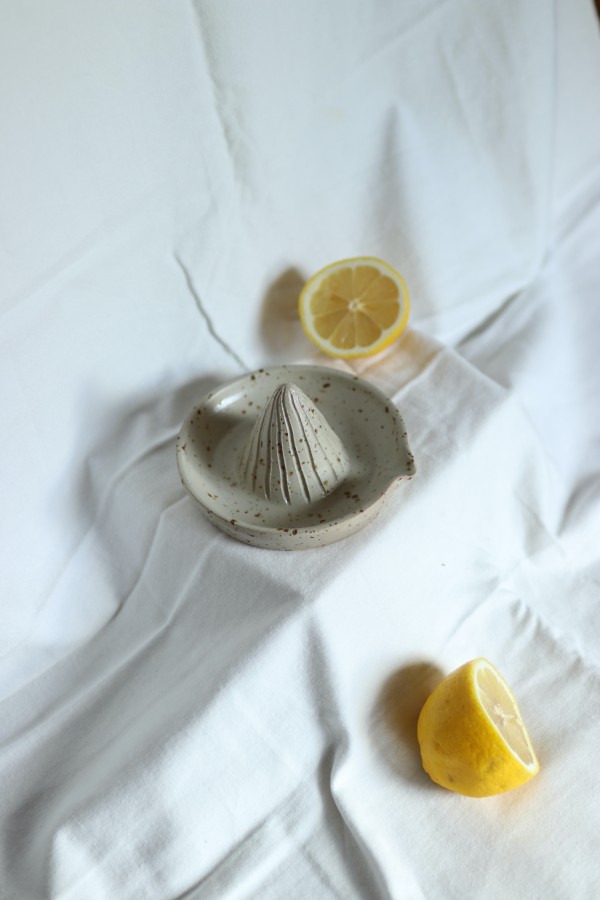 park bench ceramics. Citrusinių vaisių sulčiaspaudė