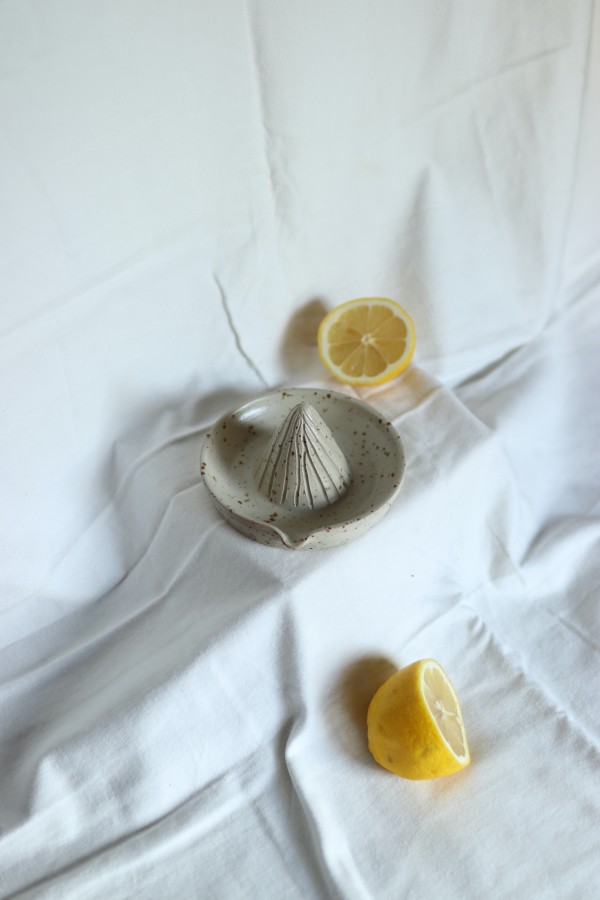 park bench ceramics. Citrusinių vaisių sulčiaspaudė