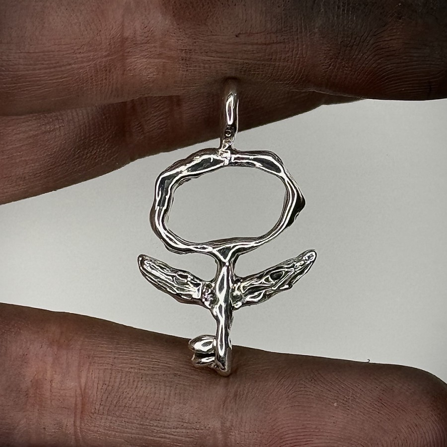 Pūška. unisex sidabrinis pakabukas harry