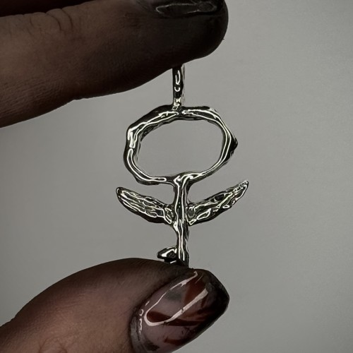 Pūška. unisex sidabrinis pakabukas harry