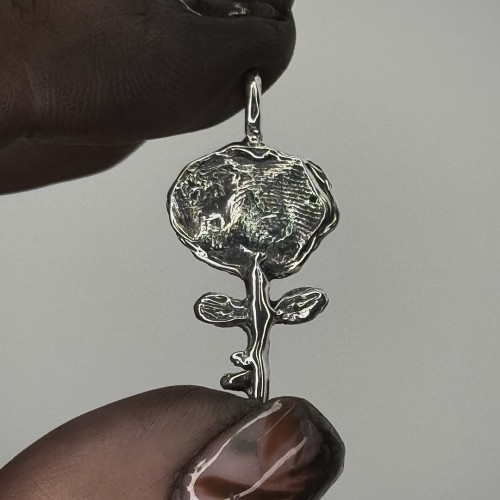 Pūška. unisex sidabrinis pakabukas ron