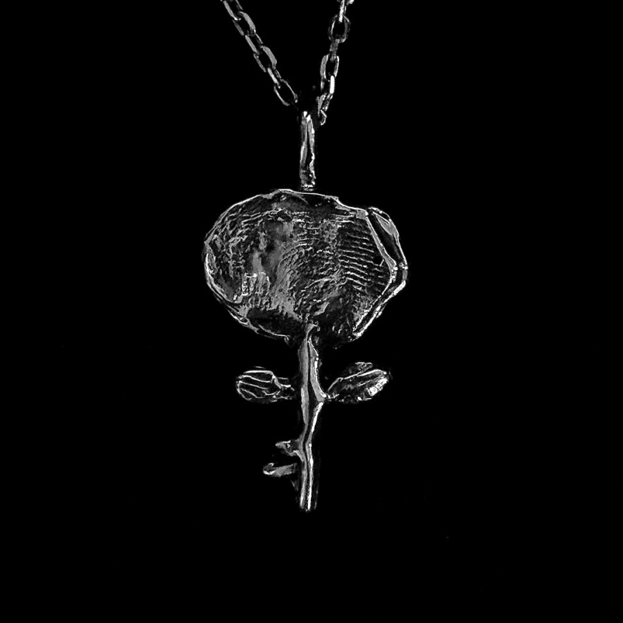 Pūška. unisex sidabrinis pakabukas ron