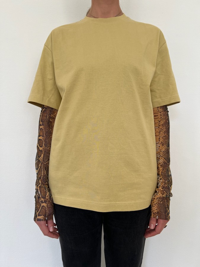 REVE ROSE. TIULIO RANKOVĖS gyvatės