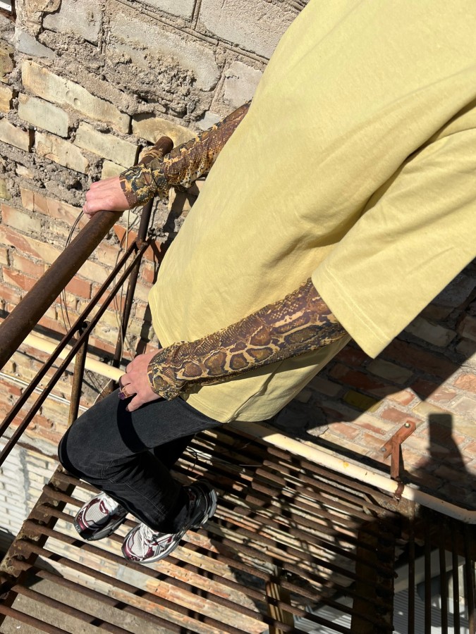 REVE ROSE. TIULIO RANKOVĖS gyvatės