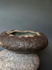 sabina. Kenzan Wabi-Sabi