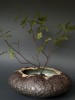 sabina. Kenzan Wabi-Sabi
