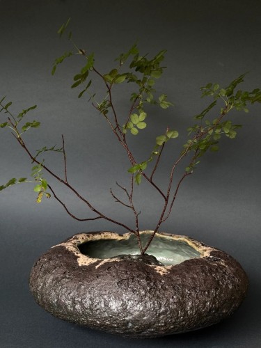 sabina. Kenzan Wabi-Sabi