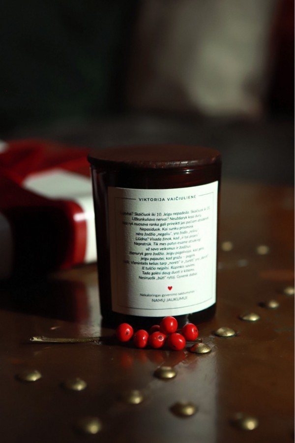 V&V. NAMŲ KVAPO ŽVAKĖ Kasdienybės taisyklės